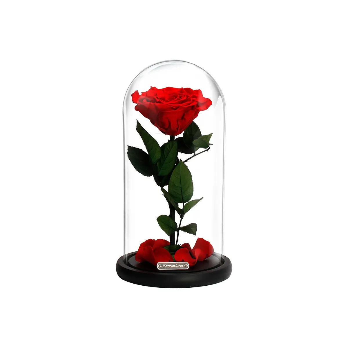 A Lovely Eternal Devotion Rose Box